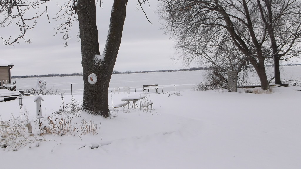 Lake frozen and yard covered