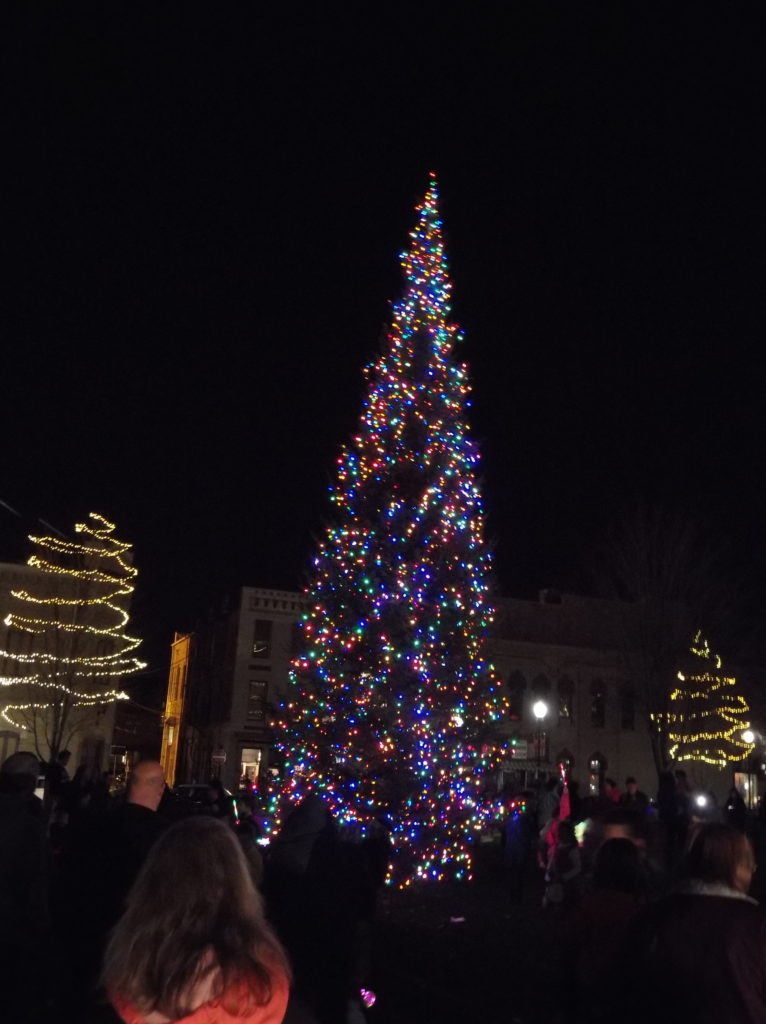 city of Oshkosh tree