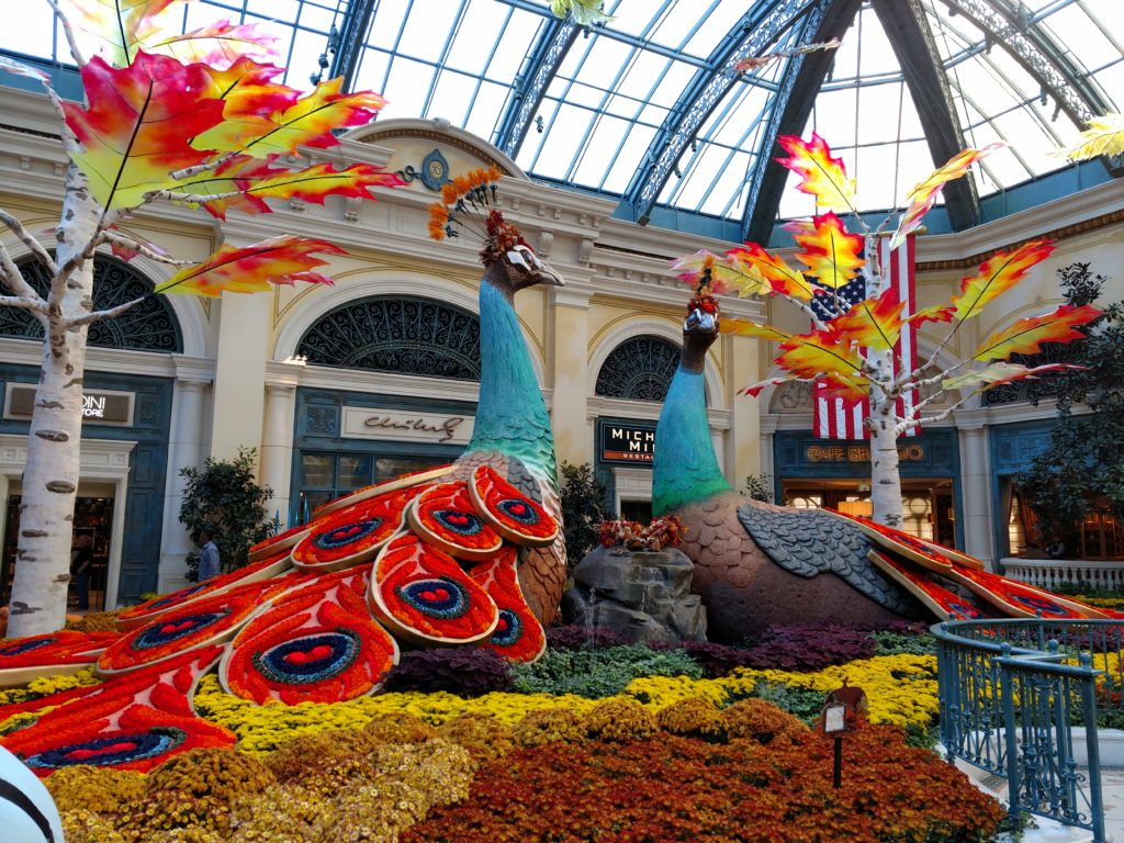 Bellagio flower garden