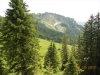 swiss-resize_360